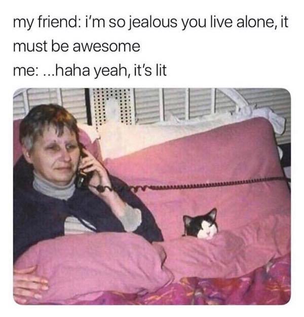 you live alone meme - my friend i'm so jealous you live alone, it must be awesome me ...haha yeah, it's lit