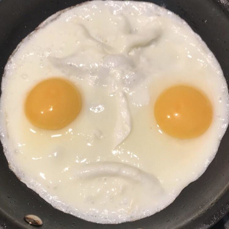 my eggs