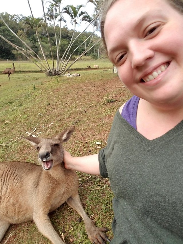 smiling kangaroo