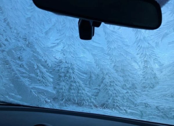 frozen car window