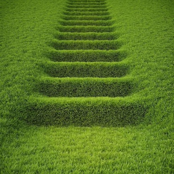 grass stairs -