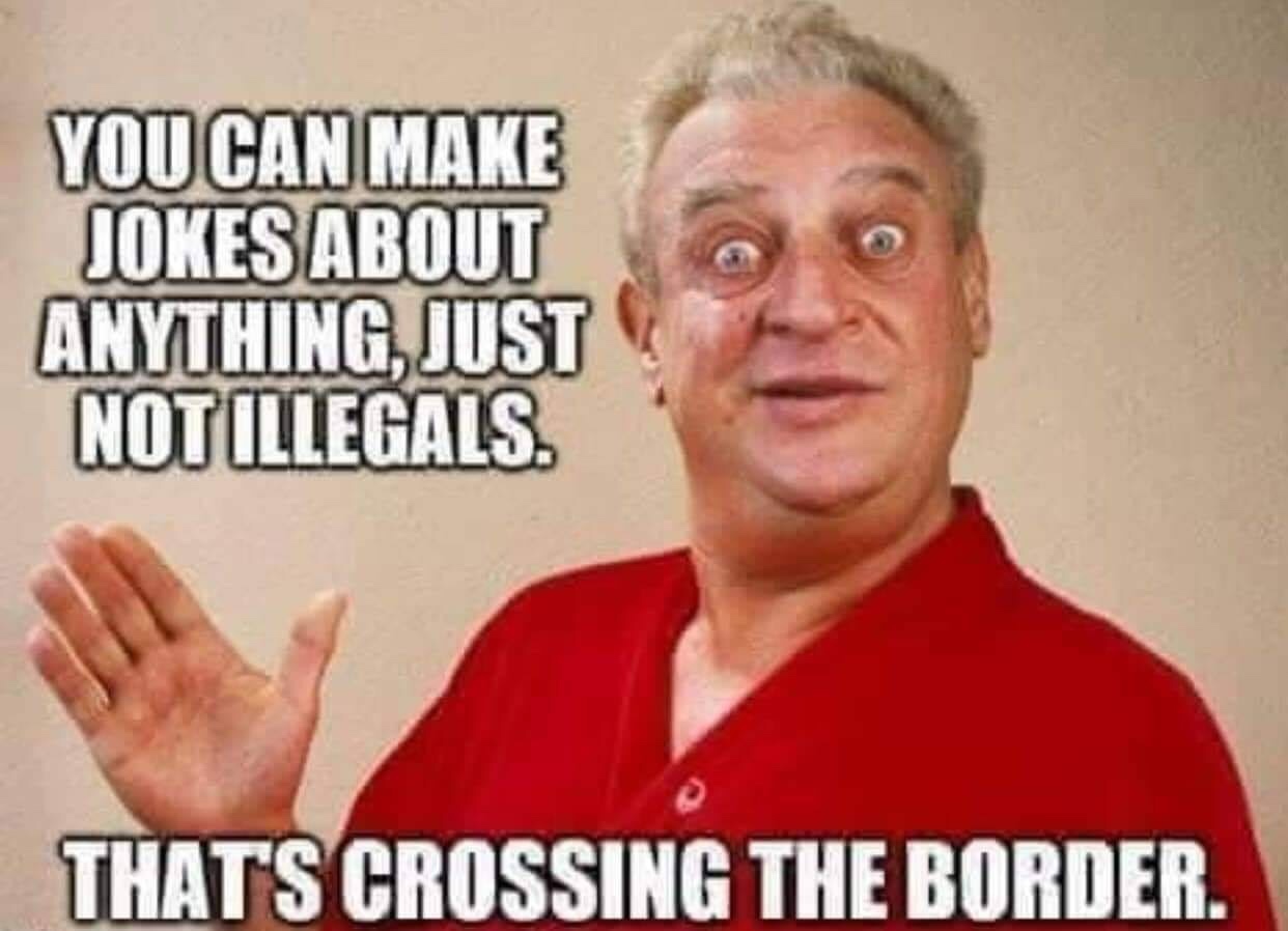 funny rodney dangerfield quotes - You Can Make Jokes About Anything, Just Not Illegals. Thats Crossing The Border.