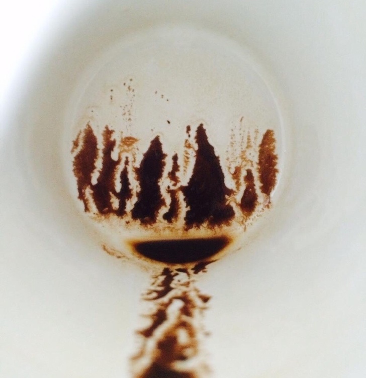 forest in coffee cup