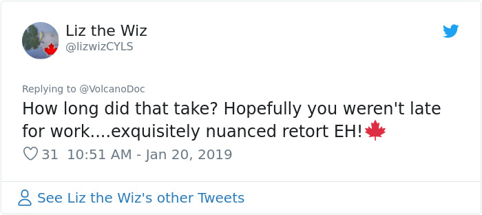 document - Liz the Wiz How long did that take? Hopefully you weren't late for work....exquisitely nuanced retort Eh! 31 See Liz the Wiz's other Tweets