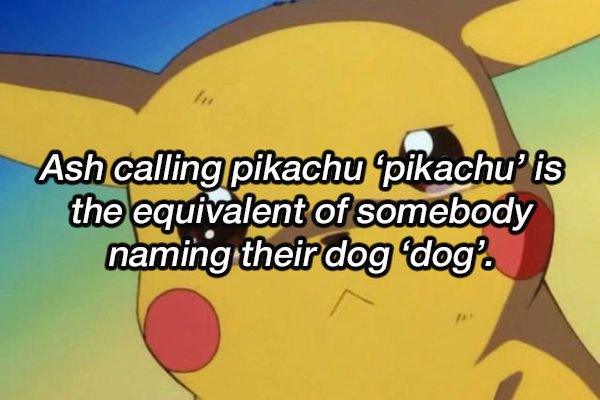 cartoon - Ash calling pikachu pikachu' is the equivalent of somebody naming their dog dog.