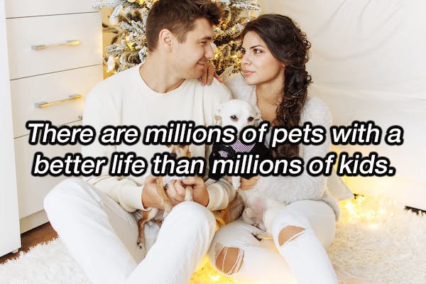 christmas couple with dog - There are millions of pets with a better life than millions of kids.