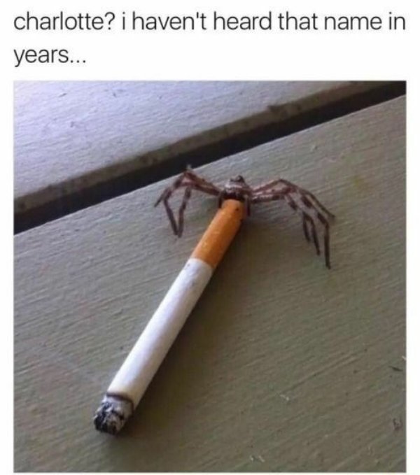 funny spider - charlotte? i haven't heard that name in years...