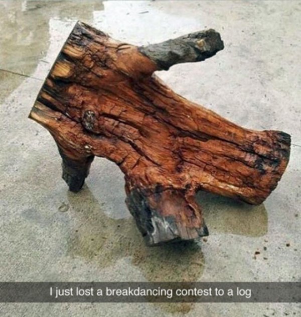 break dancing log - I just lost a breakdancing contest to a log