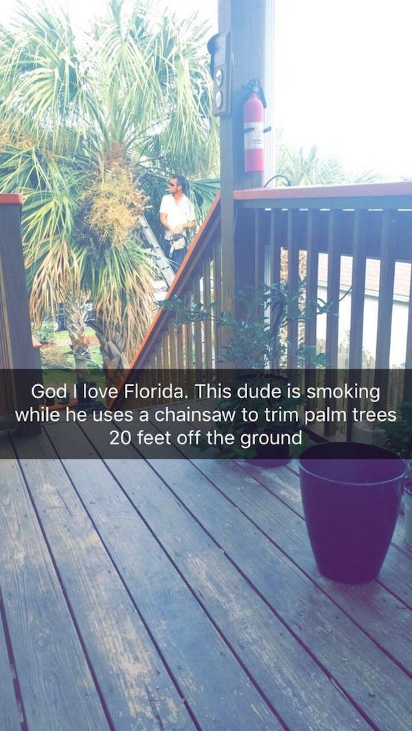 unsafe environment deck - God I love Florida. This dude is smoking while he uses a chainsaw to trim palm trees 20 feet off the ground