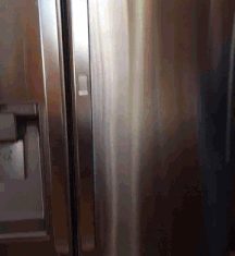 A fridge that has 2 doors