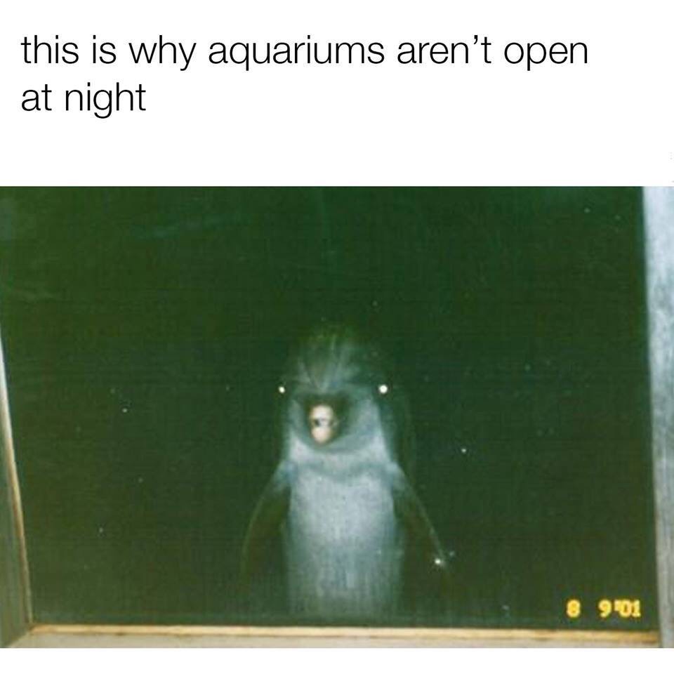 aquariums aren t open - this is why aquariums aren't open at night & 9o.