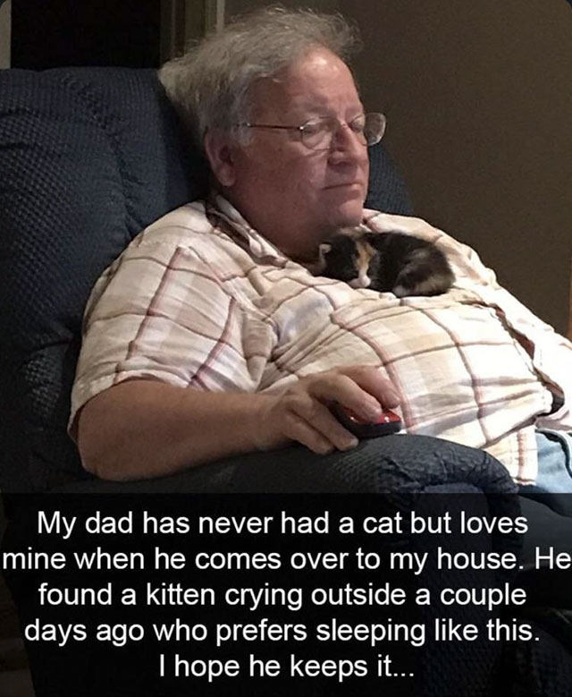 kitten sleeping on dad - My dad has never had a cat but loves mine when he comes over to my house. He found a kitten crying outside a couple days ago who prefers sleeping this. I hope he keeps it...