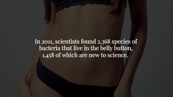 shoulder - In 2011, scientists found 2,368 species of bacteria that live in the belly button, 1,458 of which are new to science.