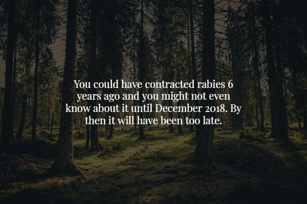 forest free - You could have contracted rabies 6 years ago and you might not even know about it until . By then it will have been too late.