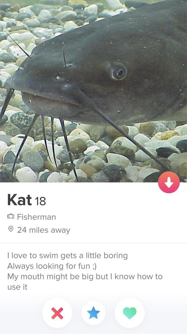 tinder - another name for catfish - Kat 18 Fisherman 0 24 miles away I love to swim gets a little boring Always looking for fun ; My mouth might be big but I know how to use it