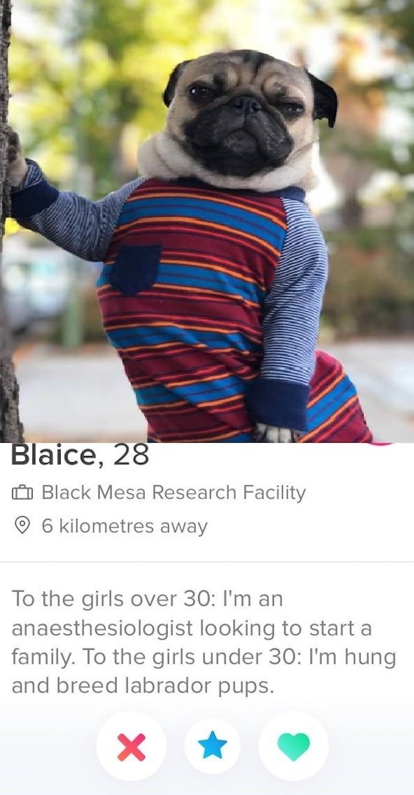 tinder - pug - Blaice, 28 Black Mesa Research Facility 6 kilometres away To the girls over 30 I'm an anaesthesiologist looking to start a family. To the girls under 30 I'm hung and breed labrador pups. X
