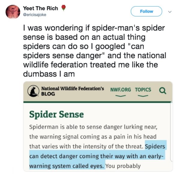web page - Yeet The Rich I was wondering if spiderman's spider sense is based on an actual thing spiders can do so I googled "can spiders sense danger" and the national wildlife federation treated me the dumbass I am O National Wildlife Federation's Nwf.O