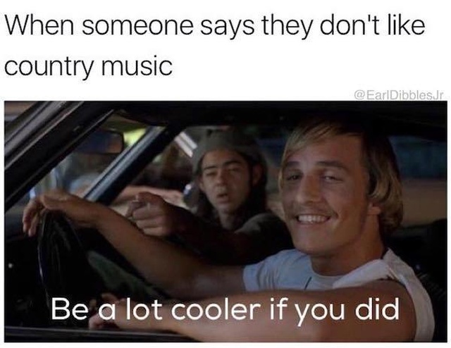 environment memes - When someone says they don't country music Jr Be a lot cooler if you did