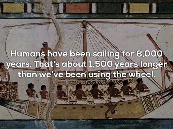 ancient egypt ship - Humans have been sailing for 8,000 years. That's about 1,500 years longer than we've been using the wheel.