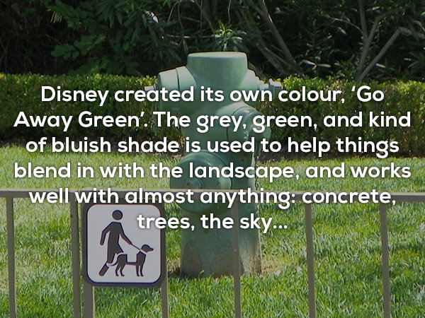nature reserve - Disney created its own colour, 'Go Away Green'. The grey, green, and kind of bluish shade is used to help things blend in with the landscape, and works well with almost anything concrete, trees, the sky...