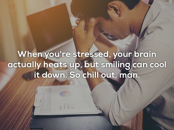 When you're stressed, your brain actually heats up, but smiling can cool it down. So chill out, man.
