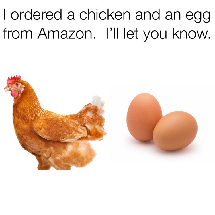 live chicken - I ordered a chicken and an egg from Amazon. I'll let you know.