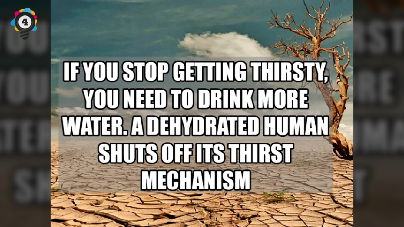 biome - If You Stop Getting Thirsty You Need To Drink More Water. A Dehydrated Human Shuts Off Its Thirst Mechanism
