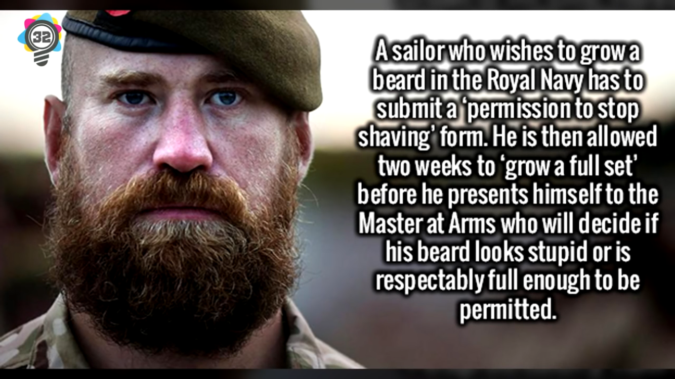 royal navy meme funny - Asailor who wishes to growa beard in the Royal Navy has to submit a permission to stop shaving form. He is then allowed two weeks to grow a full set' before he presents himself to the Master at Arms who will decide if his beard loo