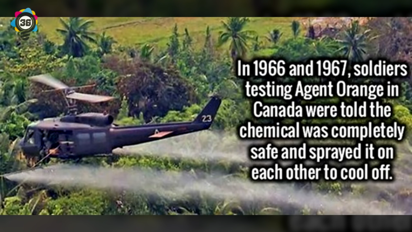 agent orange vietnam war - In 1966 and 1967, soldiers testing Agent Orange in Canada were told the chemical was completely safe and sprayed it on each other to cool off.