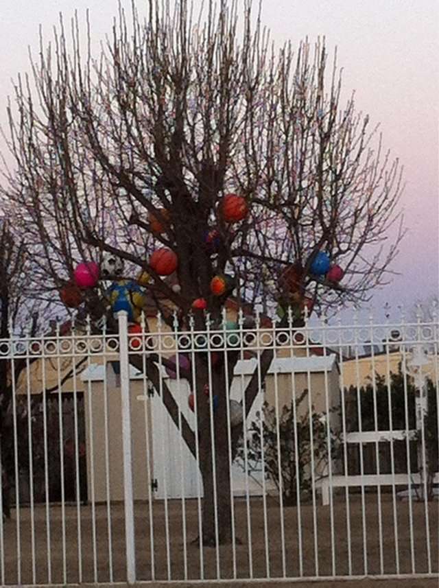 “Whenever a ball goes into my neighbor’s yard, he puts them in his tree so no one can get them back.”