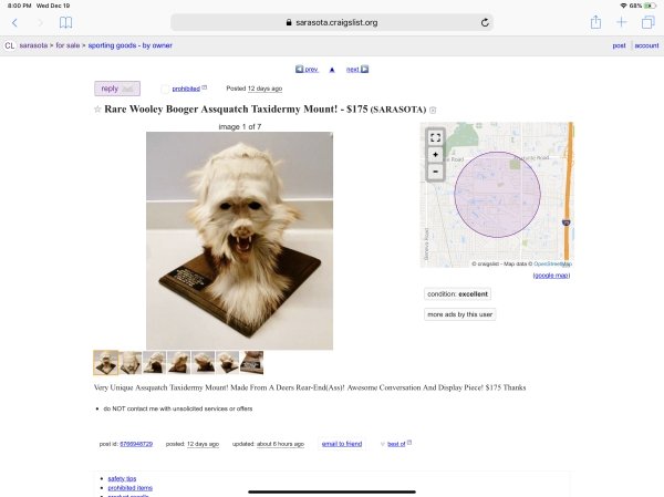 snout - Wed Dec 10 sarasota.craigslist.org CLasol for s porting Goods by owner post mount prox Ab Poved 12 days ago Rare Wooley Booger Assquatch Taxidermy Mount! $175 Sarasota image 1 of 7 more as try this user Very Unique Asach Taider Man Made From A Der
