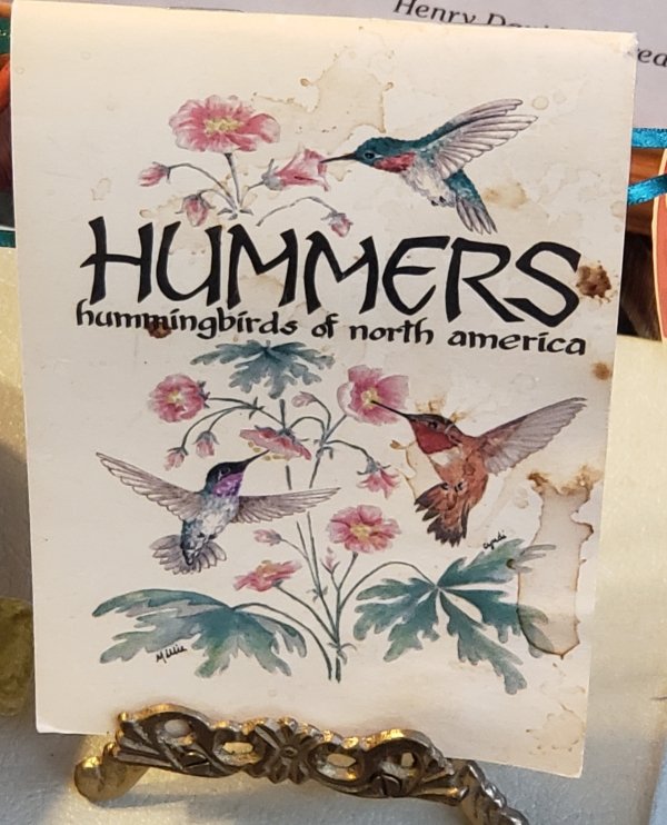 design - Henry D Hummersi hummingbirds of north america