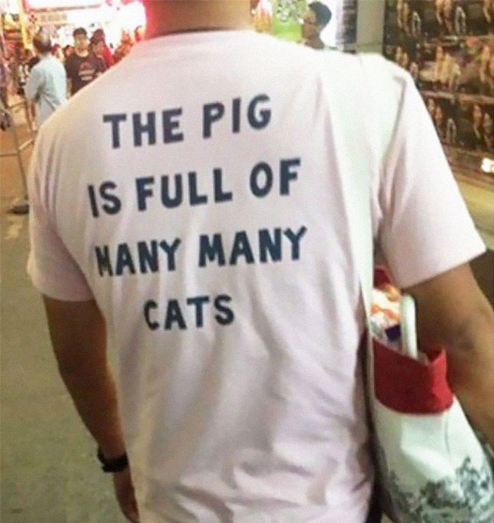 bad translation t shirts - The Pig Is Full Of Many Many Cats