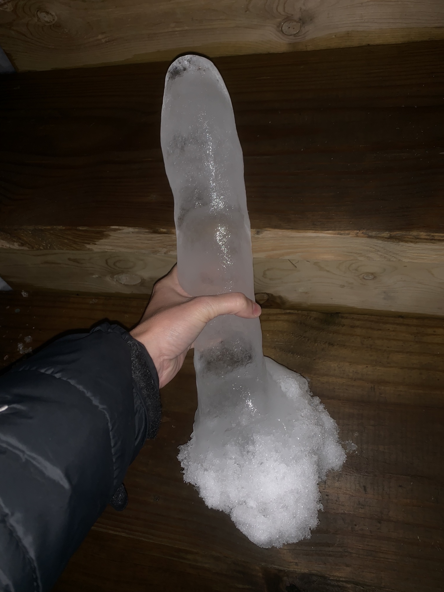 hand holding a penis shaped ice sculpture