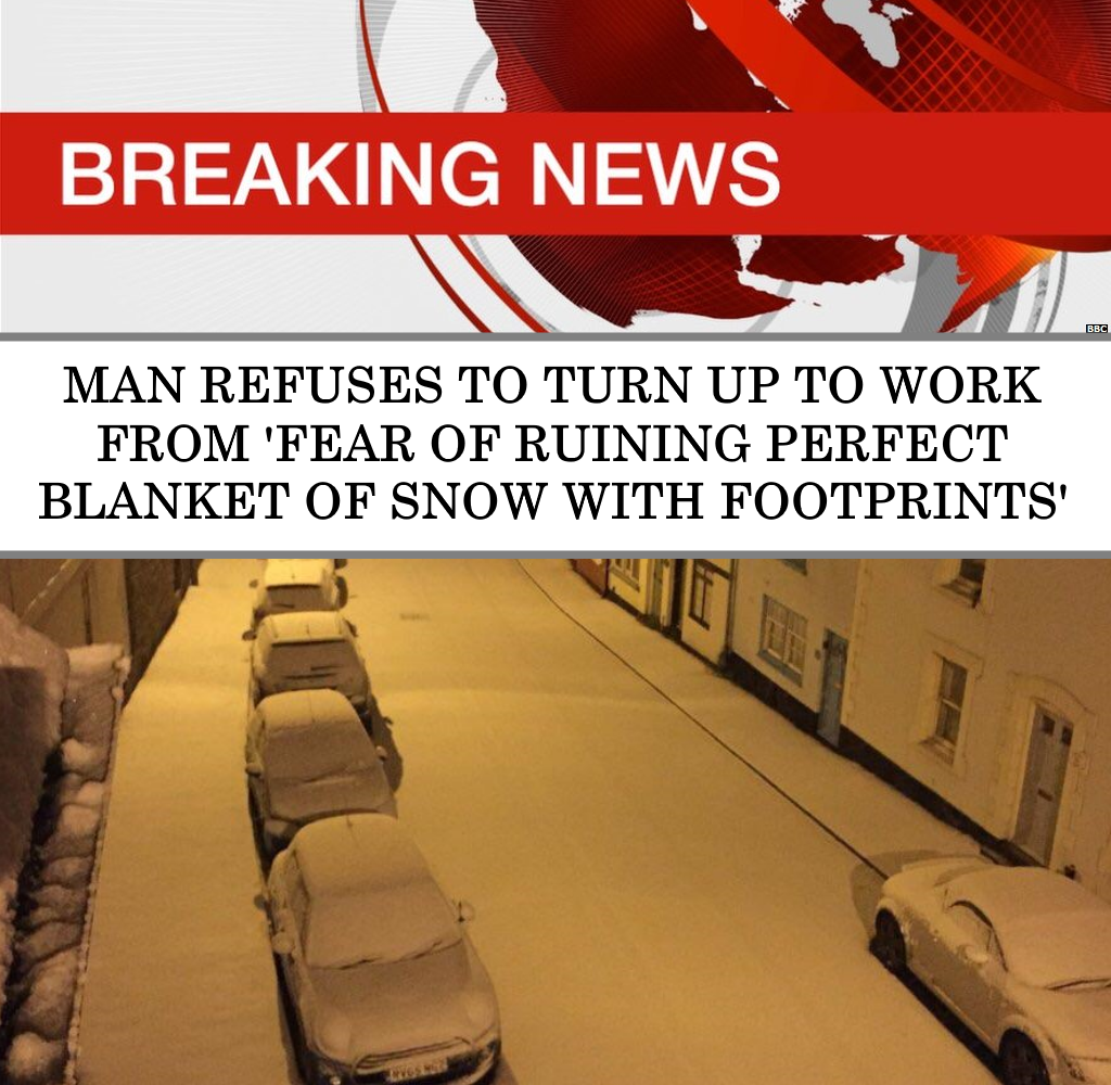 professionals have standards meme - Breaking News Man Refuses To Turn Up To Work From 'Fear Of Ruining Perfect Blanket Of Snow With Footprints'