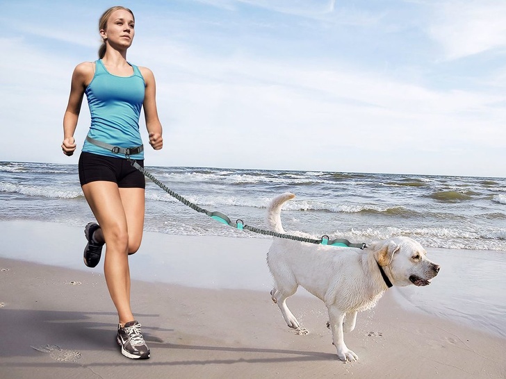 Hands-free leash with double bungee for effortless walks