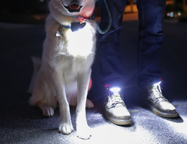 Night Runner 270 — for your shoes and your dog’s collar