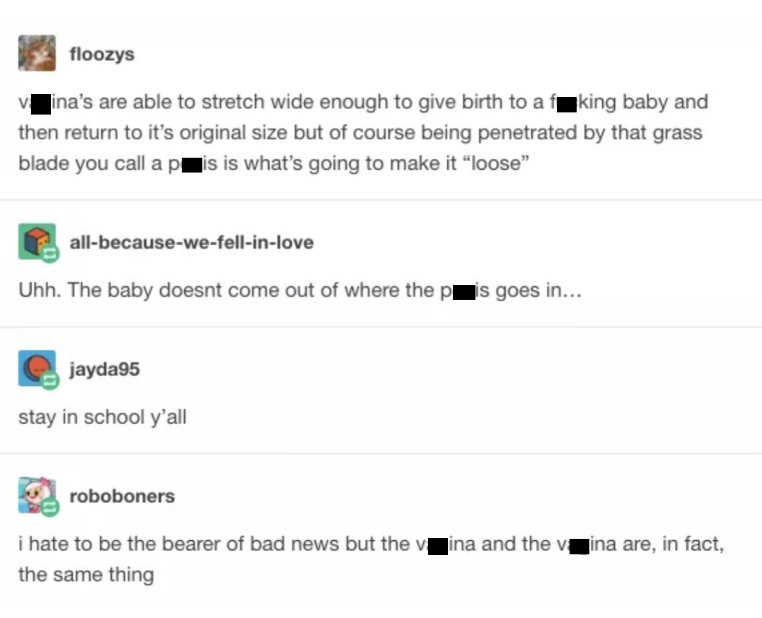 amish tumblr post - floozys v ina's are able to stretch wide enough to give birth to a fuking baby and then return to it's original size but of course being penetrated by that grass blade you call a p is is what's going to make it "loose" allbecausewefell