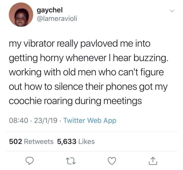 memes - Red Velvet - gaychel my vibrator really pavloved me into getting horny whenever I hear buzzing. working with old men who can't figure out how to silence their phones got my coochie roaring during meetings 23119 Twitter Web App 502 5,633