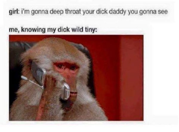 memes - baboon on phone meme - girl i'm gonna deep throat your dick daddy you gonna see me, knowing my dick wild tiny