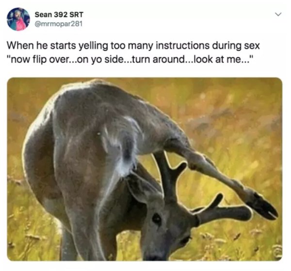 memes - instruction unclear - Sean 392 Srt When he starts yelling too many instructions during sex "now flip over...on yo side...turn around...look at me..."