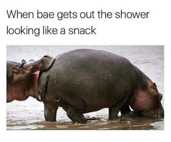 memes - looking like a snack - When bae gets out the shower looking a snack