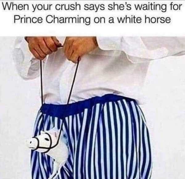 memes - When your crush says she's waiting for Prince Charming on a white horse