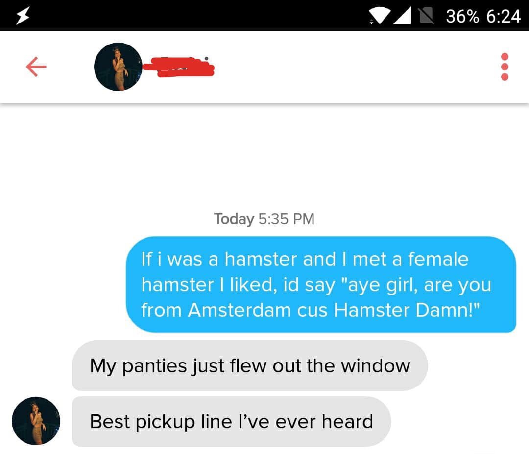 tinder - hamster pick up line - Dan 36% Today If i was a hamster and I met a female hamster I d, id say "aye girl, are you from Amsterdam cus Hamster Damn!" My panties just flew out the window Best pickup line I've ever heard