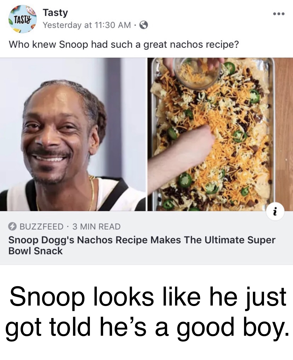 snoop dogg good boy meme - Tasty Tasty Yesterday at Who knew Snoop had such a great nachos recipe? Buzzfeed 3 Min Read Snoop Dogg's Nachos Recipe Makes The Ultimate Super Bowl Snack Snoop looks he just got told he's a good boy.