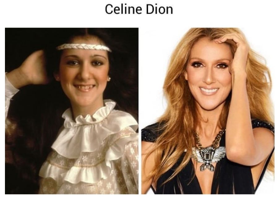 celine dion 2013 - Celine Dion