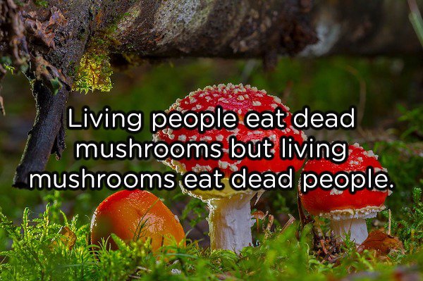 20 shower thoughts to make you think