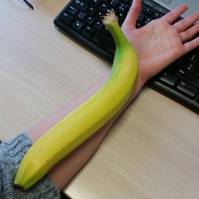 Someone’s found a banana that is bigger than their forearm!