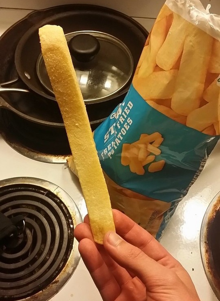 “Freakishly large frozen French fry I found”