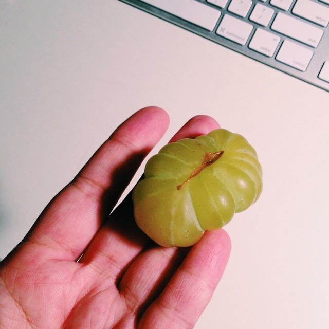 That’s not a green tomato. That’s a grape!